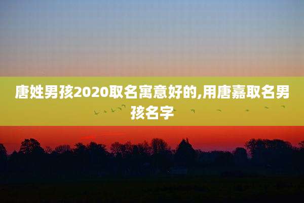 唐姓男孩2020取名寓意好的,用唐嘉取名男孩名字