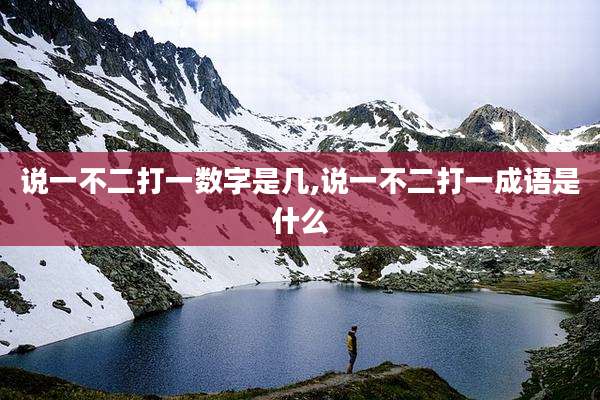 说一不二打一数字是几,说一不二打一成语是什么
