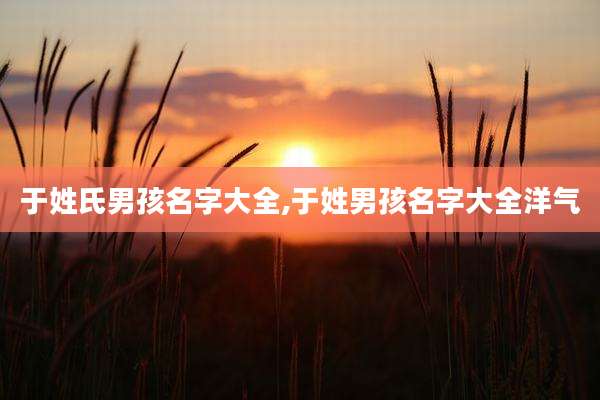 于姓氏男孩名字大全,于姓男孩名字大全洋气