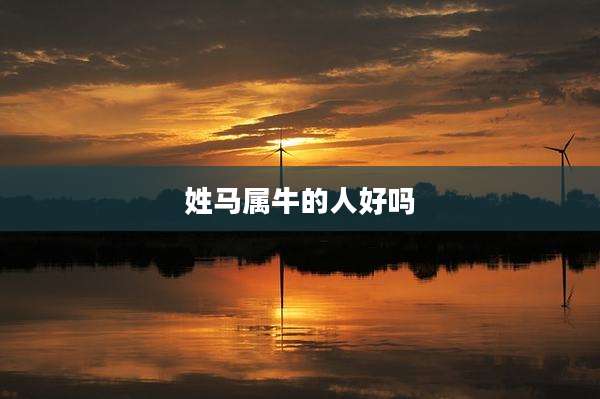 姓马属牛的人好吗