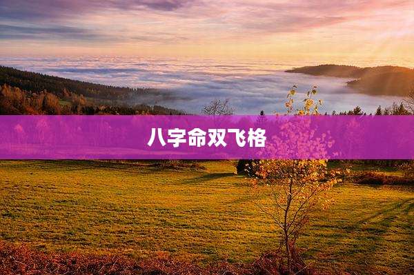 八字命双飞格