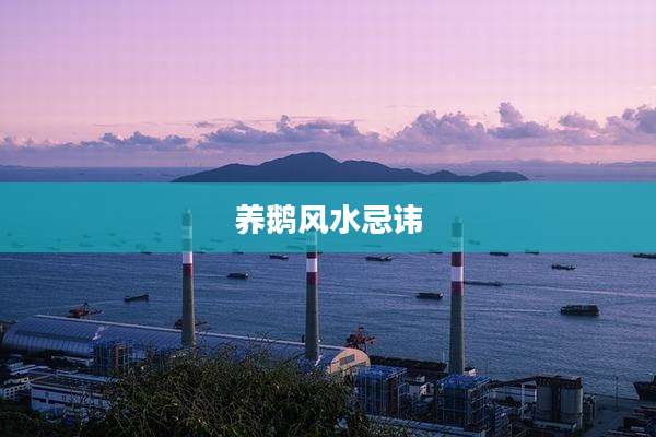 养鹅风水忌讳