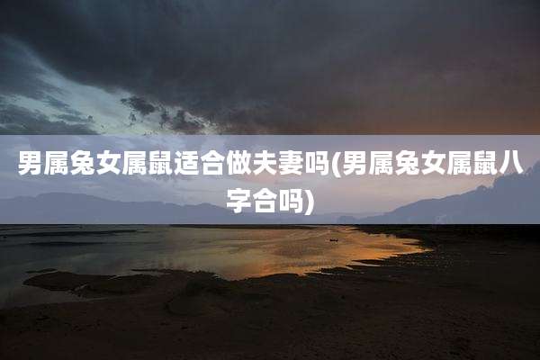 男属兔女属鼠适合做夫妻吗(男属兔女属鼠八字合吗)
