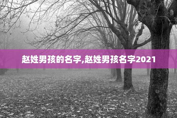赵姓男孩的名字,赵姓男孩名字2021