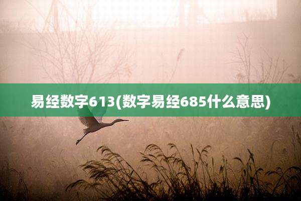易经数字613(数字易经685什么意思)