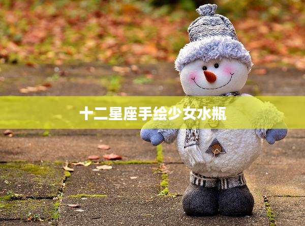 十二星座手绘少女水瓶