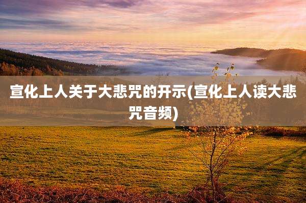 宣化上人关于大悲咒的开示(宣化上人读大悲咒音频)