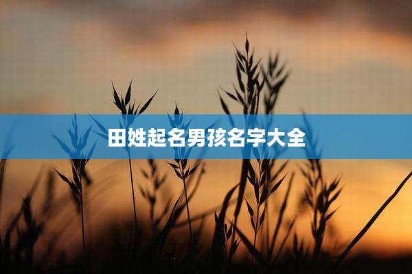 田姓起名男孩名字大全