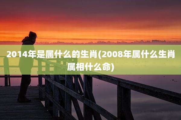 2014年是属什么的生肖(2008年属什么生肖属相什么命)