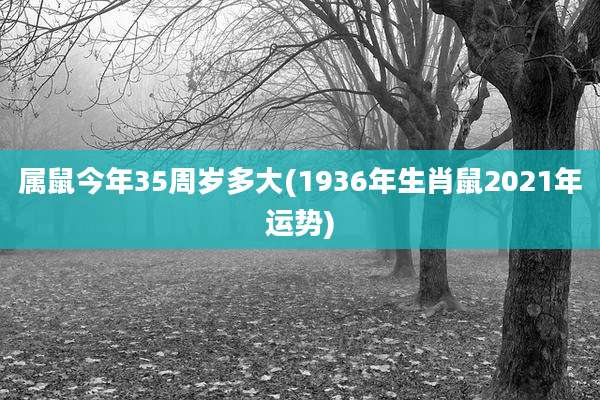 属鼠今年35周岁多大(1936年生肖鼠2021年运势)