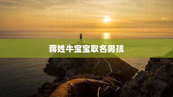 蒋姓牛宝宝取名男孩