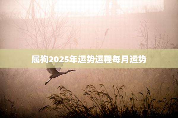 属狗2025年运势运程每月运势