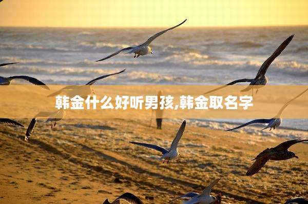 韩金什么好听男孩,韩金取名字