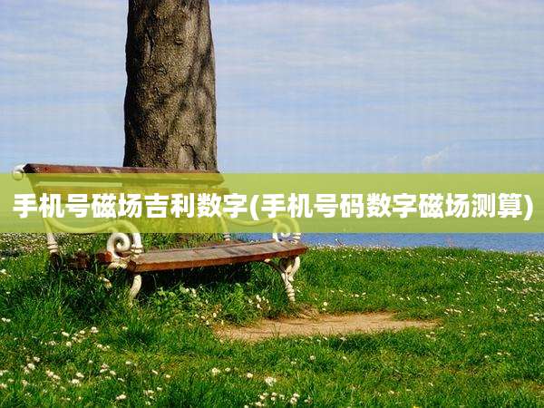 手机号磁场吉利数字(手机号码数字磁场测算)