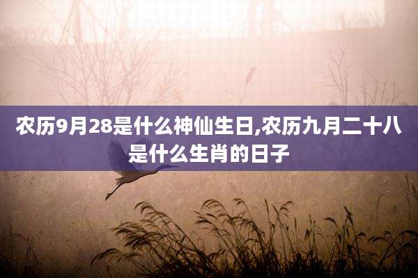 农历9月28是什么神仙生日,农历九月二十八是什么生肖的日子