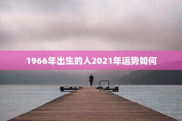1966年出生的人2021年运势如何