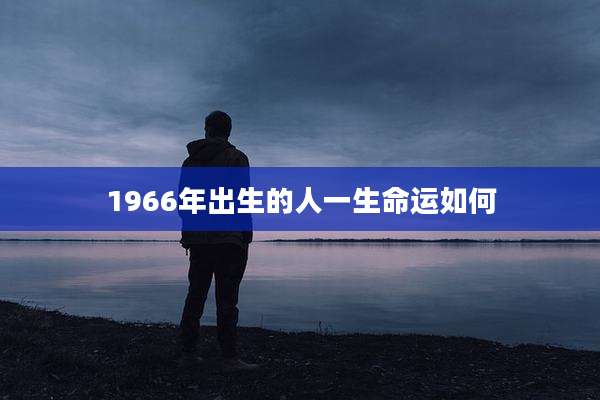 1966年出生的人一生命运如何