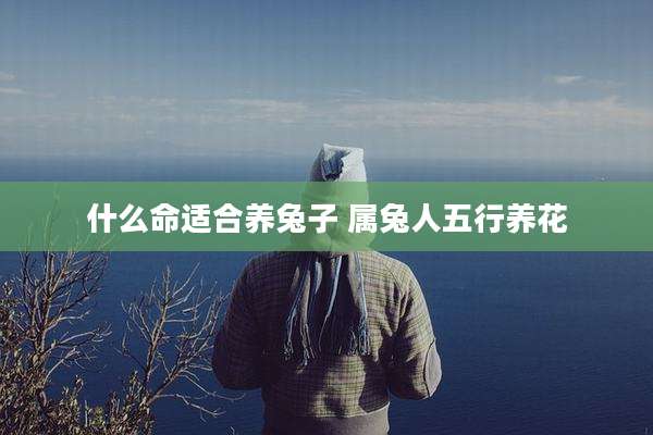 什么命适合养兔子 属兔人五行养花