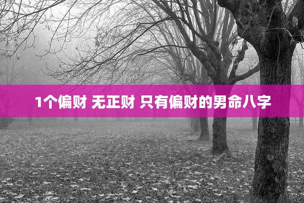 1个偏财 无正财 只有偏财的男命八字