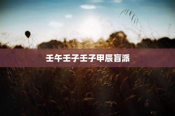 壬午壬子壬子甲辰盲派