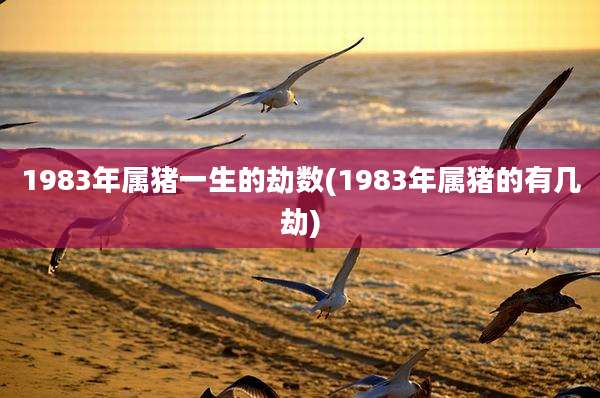 1983年属猪一生的劫数(1983年属猪的有几劫)