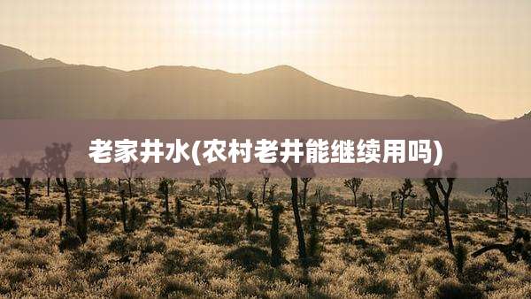 老家井水(农村老井能继续用吗)