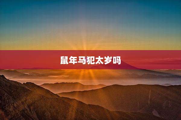 鼠年马犯太岁吗