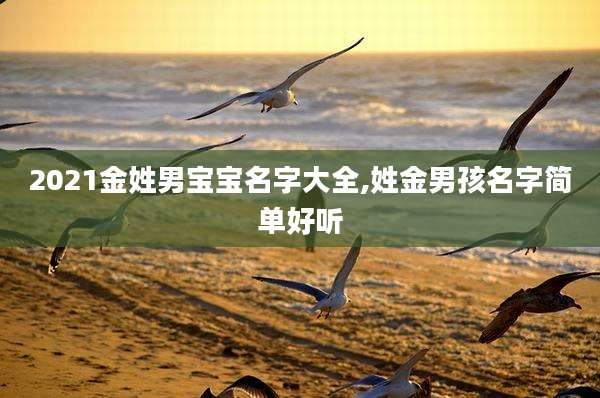 2021金姓男宝宝名字大全,姓金男孩名字简单好听