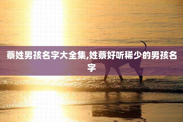 蔡姓男孩名字大全集,姓蔡好听稀少的男孩名字