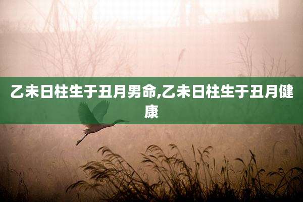 乙未日柱生于丑月男命,乙未日柱生于丑月健康