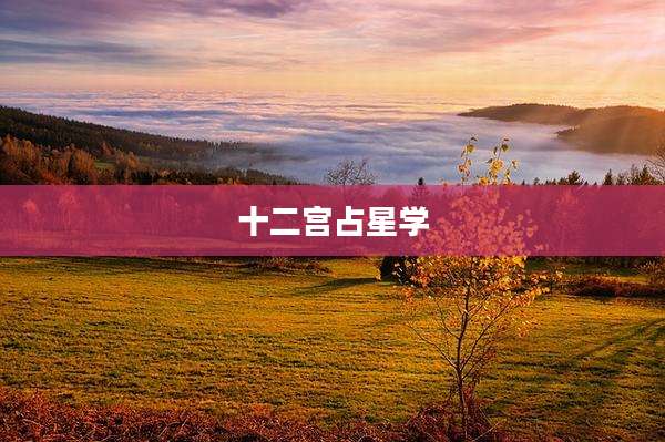 十二宫占星学