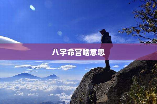 八字命宫啥意思