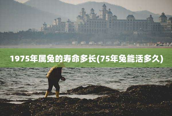 1975年属兔的寿命多长(75年兔能活多久)