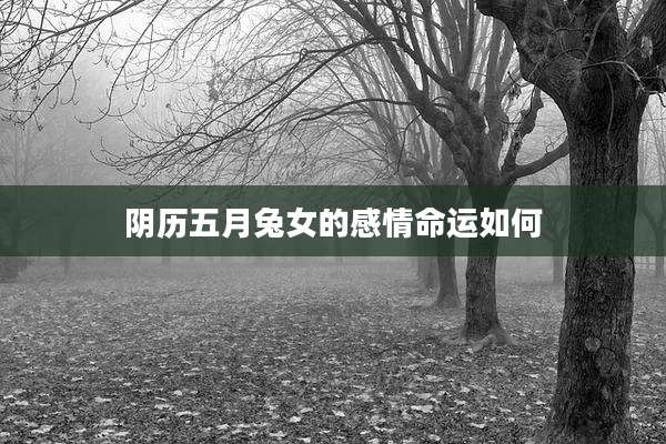 阴历五月兔女的感情命运如何