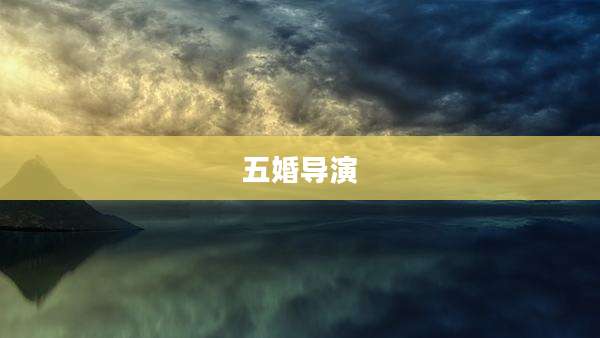 五婚导演