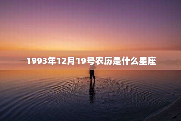 1993年12月19号农历是什么星座