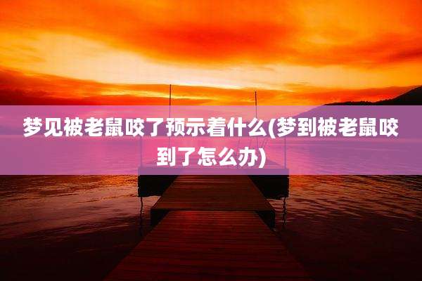 梦见被老鼠咬了预示着什么(梦到被老鼠咬到了怎么办)