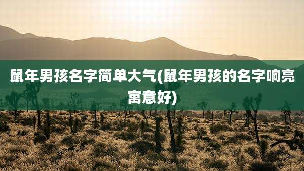 鼠年男孩名字简单大气(鼠年男孩的名字响亮寓意好)