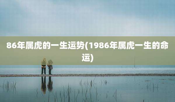 86年属虎的一生运势(1986年属虎一生的命运)