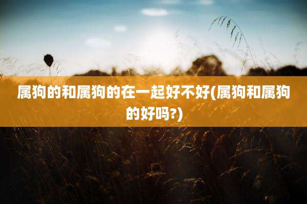 属狗的和属狗的在一起好不好(属狗和属狗的好吗?)