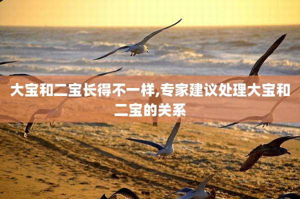 大宝和二宝长得不一样,专家建议处理大宝和二宝的关系