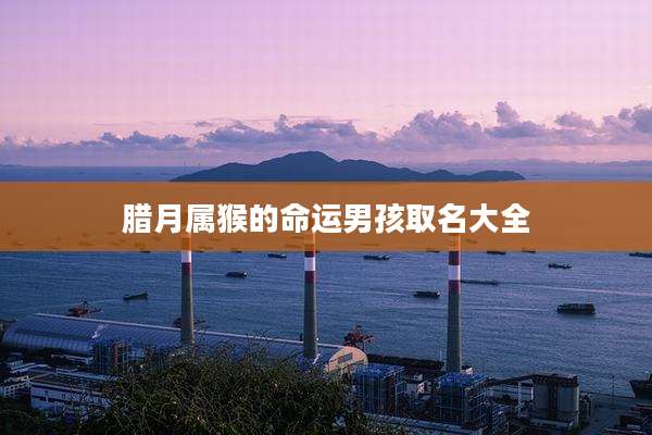 腊月属猴的命运男孩取名大全