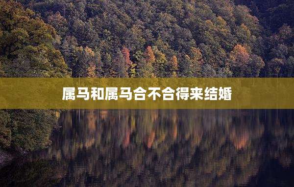 属马和属马合不合得来结婚