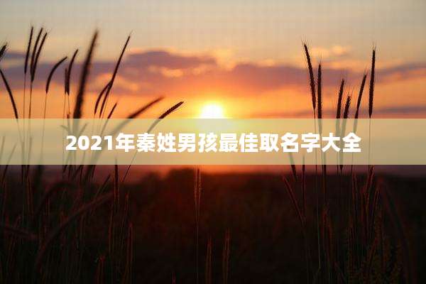2021年秦姓男孩最佳取名字大全