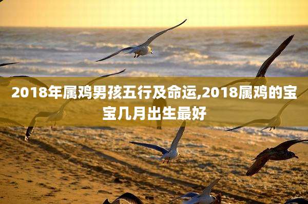 2018年属鸡男孩五行及命运,2018属鸡的宝宝几月出生最好