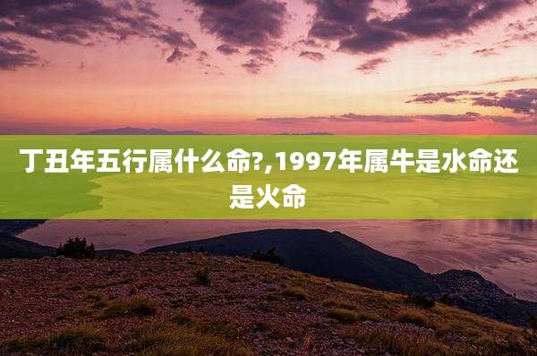 丁丑年五行属什么命?,1997年属牛是水命还是火命