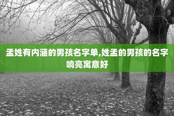 孟姓有内涵的男孩名字单,姓孟的男孩的名字响亮寓意好