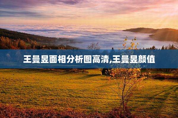 王曼昱面相分析图高清,王曼昱颜值