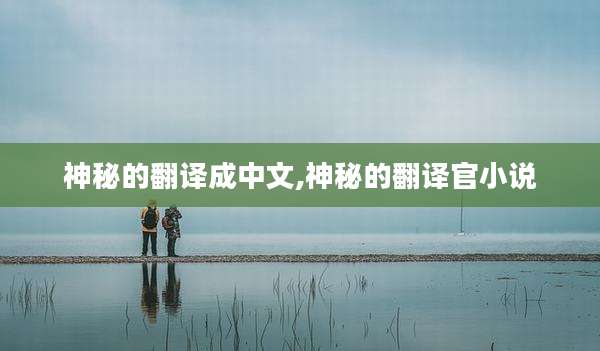 神秘的翻译成中文,神秘的翻译官小说