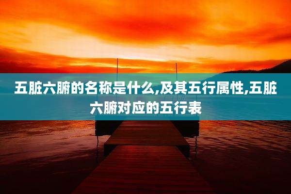 五脏六腑的名称是什么,及其五行属性,五脏六腑对应的五行表